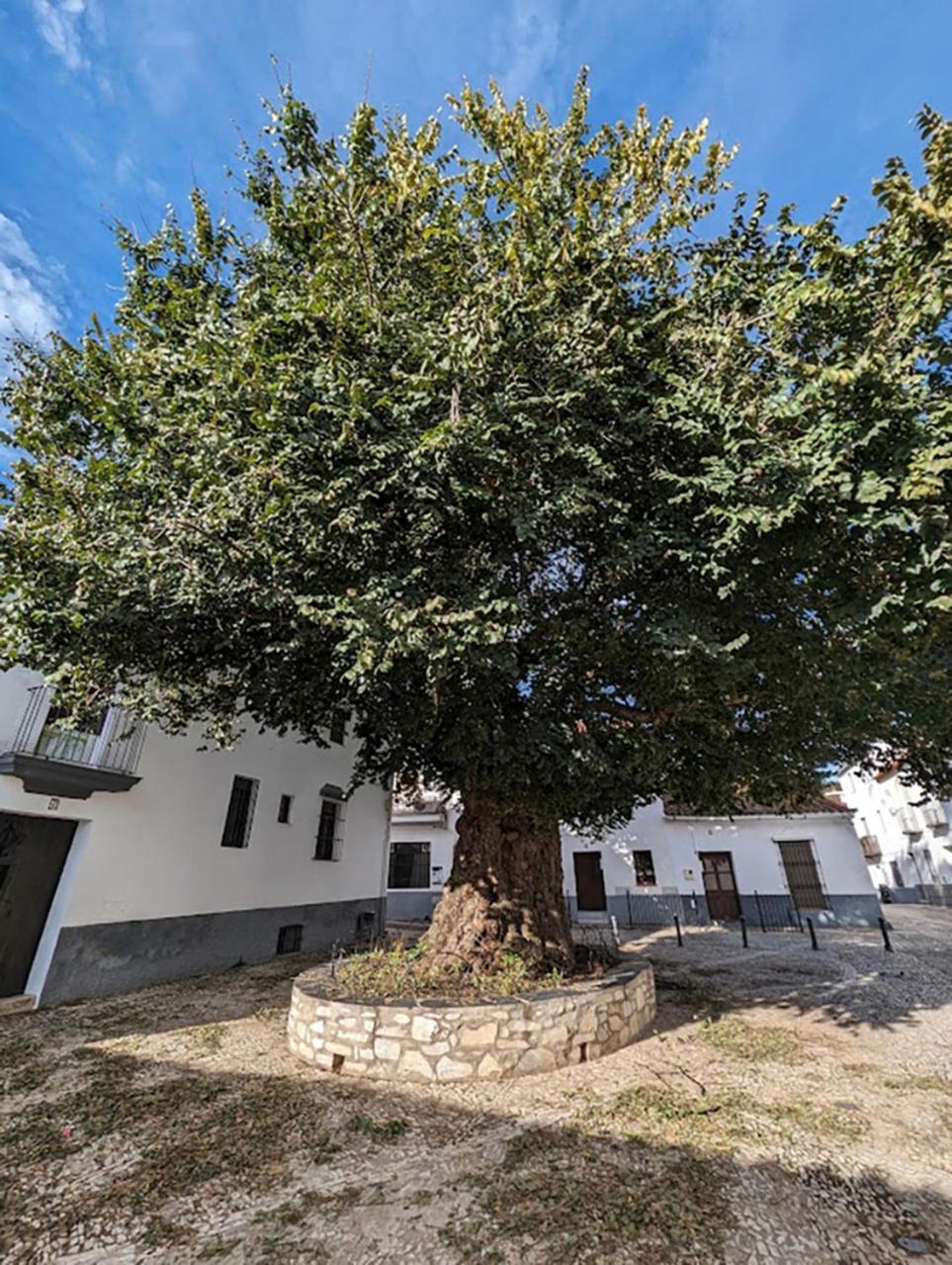 Willa Casa Maricolilla Cortelazor Zewnętrze zdjęcie